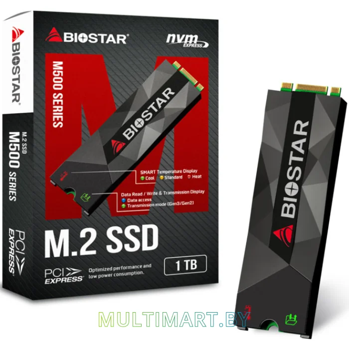 SSD диск BIOSTAR M500 1TB (M500-1TB)